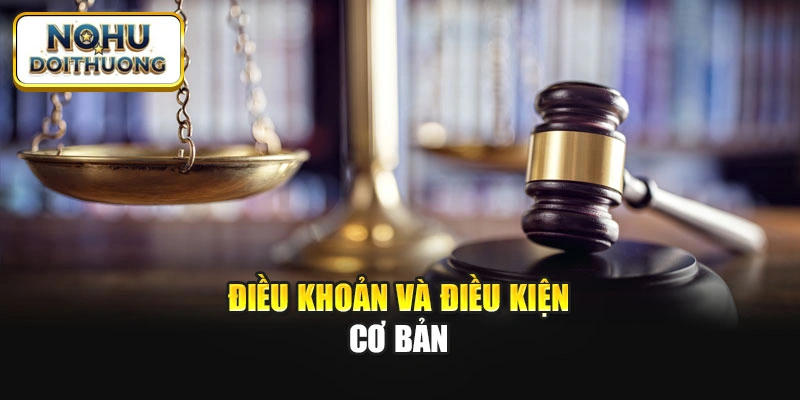 Điều khoản và điều kiện cơ bản